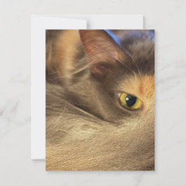 Notitiekaart vanuit het perspectief van een kat notitiekaartje