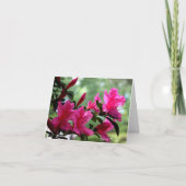 Notitiekaarten Bloemen (Voorkant)