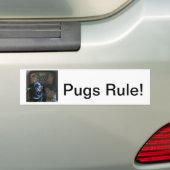 Notitiekaarten, bumperstickers, stickers (Op auto)