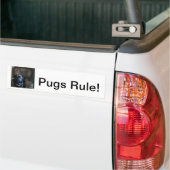 Notitiekaarten, bumperstickers, stickers (Op Truck)