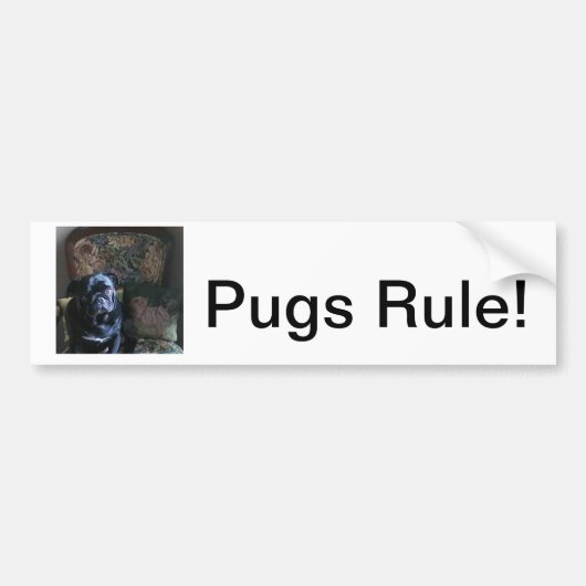Notitiekaarten, bumperstickers, stickers (Voorkant)