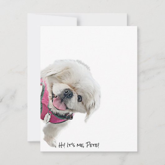 Notitiekaarten met Peter Rottentail (Voorkant)