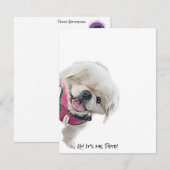 Notitiekaarten met Peter Rottentail (Voorkant / Achterkant)