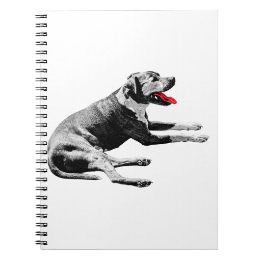 Notities met een Red-Tongue Lounger Notitieboek (Voorkant)