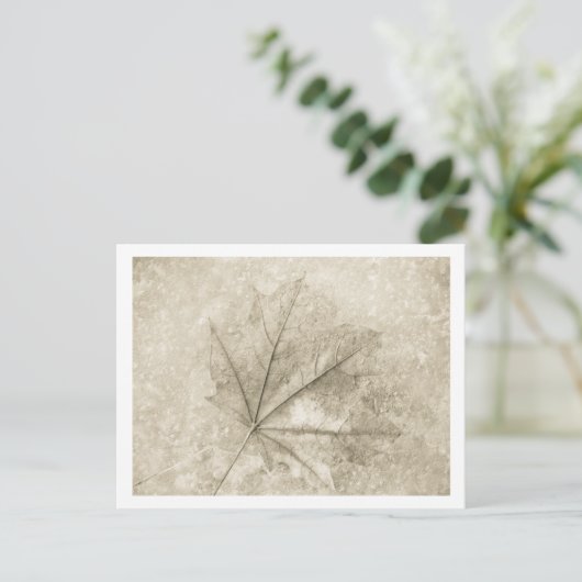 notities over schoonheid (Staand voorkant)