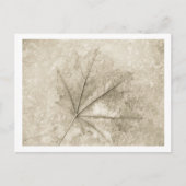 notities over schoonheid (Voorkant)