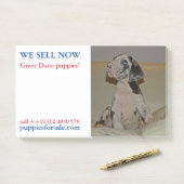 Notities voor het verkopen van puppy's post-it® notes (Op bureau)