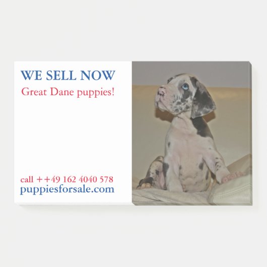 Notities voor het verkopen van puppy's post-it® notes (Voorkant)