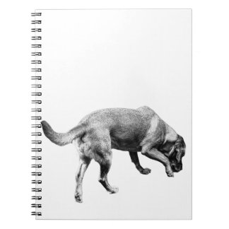 Notities voor Trails & Tails Notitieboek