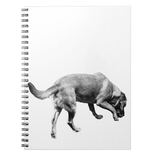 Notities voor Trails & Tails Notitieboek (Voorkant)