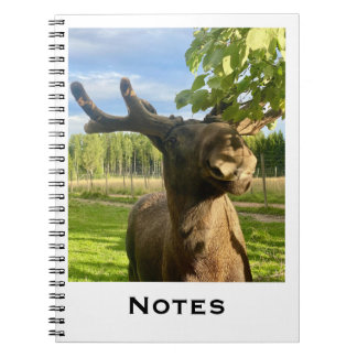 Notizbuch Notitieboek
