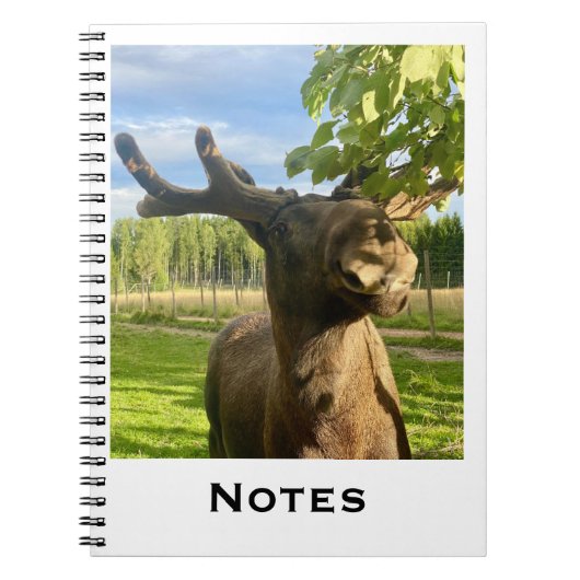 Notizbuch Notitieboek (Voorkant)