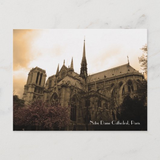 Notre Dame Cathedral Briefkaart (Voorkant)