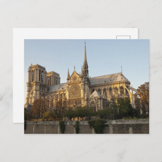 Notre Dame Cathedral Spier, Parijs Frankrijk Briefkaart (Voorkant / Achterkant)