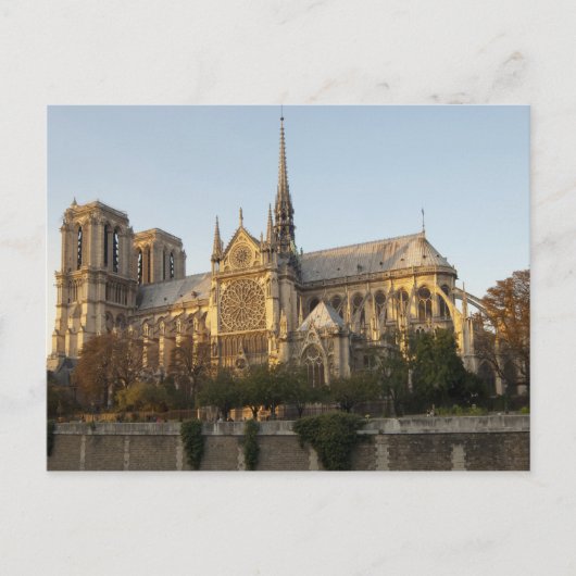 Notre Dame Cathedral Spier, Parijs Frankrijk Briefkaart (Voorkant)