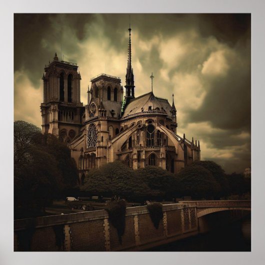 Notre Dame Cathedral Spier, Parijs Frankrijk Poster (Voorkant)