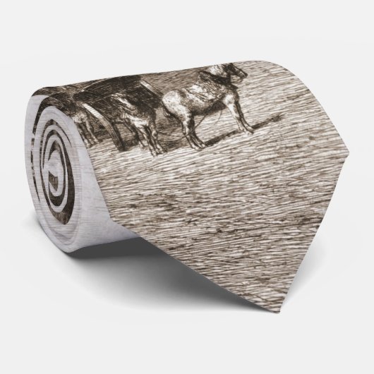 Notre Dame de Paris 1867 Stropdas (Opgerold)