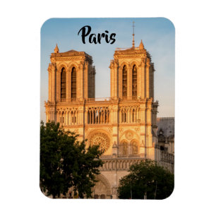 Notre Dame de Paris bij het gouden uur - Parijs, F Magneet