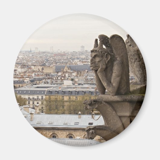 Notre Dame de Paris-chimera Magneet (Voorkant)
