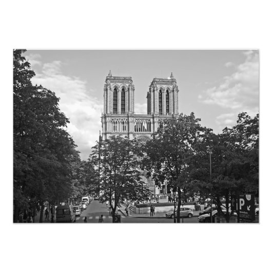 Notre Dame de Paris in de omgeving van de bomen Foto Afdruk (Voorkant)