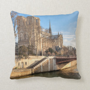 Notre dame de Paris in de winter van de zon Kussen