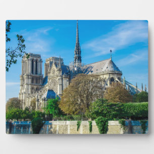 Notre Dame de Paris in Frankrijk Fotoplaat