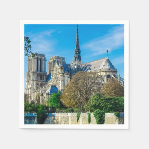Notre Dame de Paris in Frankrijk Servet