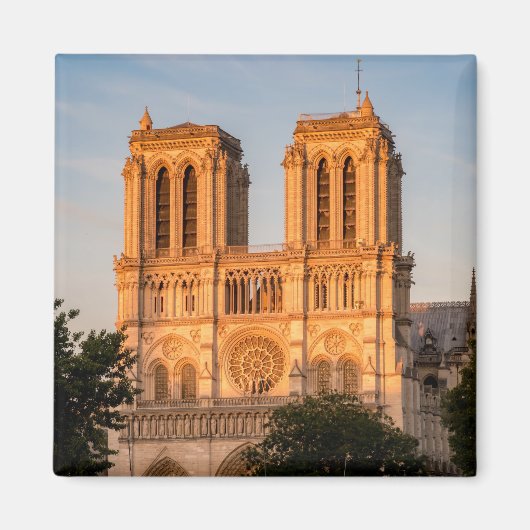 Notre Dame de Paris in Golden Hour - Parijs, Frank Magneet (Voorkant)