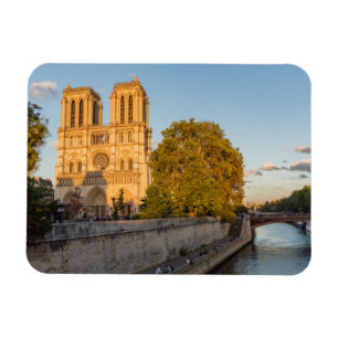 Notre Dame de Paris in Golden Hour - Parijs, Frank Magneet