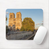 Notre Dame de Paris in Golden Hour - Parijs, Frank Muismat (Met muis)