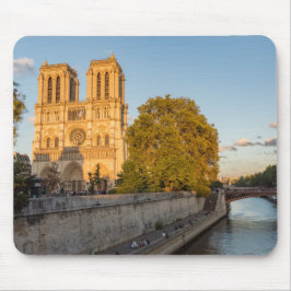 Notre Dame de Paris in Golden Hour - Parijs, Frank Muismat