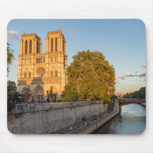 Notre Dame de Paris in Golden Hour - Parijs, Frank Muismat (Voorkant)