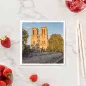 Notre Dame de Paris in Golden Hour - Parijs, Frank Servet (Insitu)