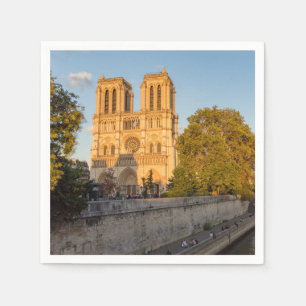 Notre Dame de Paris in Golden Hour - Parijs, Frank Servet