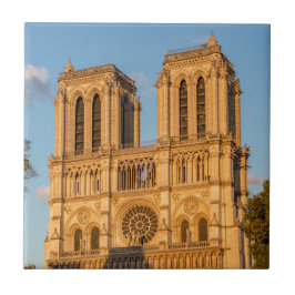 Notre Dame de Paris in Golden Hour - Parijs, Frank Tegeltje