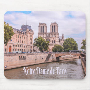 Notre Dame de Paris katholieke kathedraal Muismat