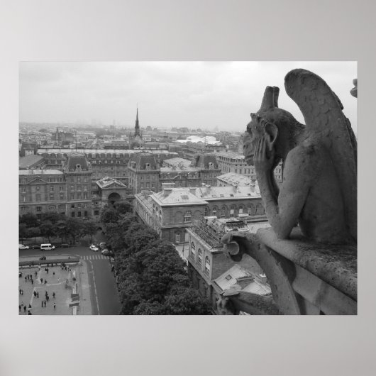 Notre Dame Gargoyle 2 Poster (Voorkant)