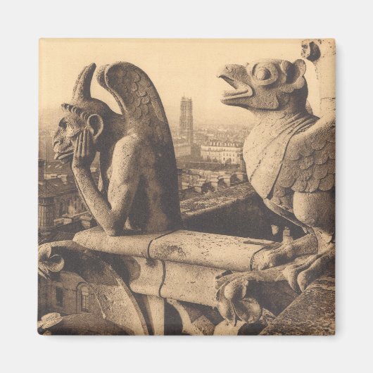 Notre Dame Gargoyle Magneet (Voorkant)