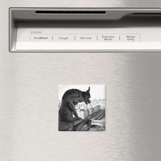 Notre Dame Gargoyle  Print Square Magnet (Insitu (Vaatwasser))