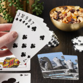 Notre Dame, Parijs, Frankrijk Pokerkaarten (Insitu)