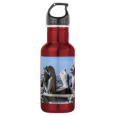 Notre Dame, Parijs, Frankrijk Waterfles (Voorkant)
