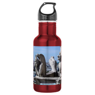 Notre Dame, Parijs, Frankrijk Waterfles