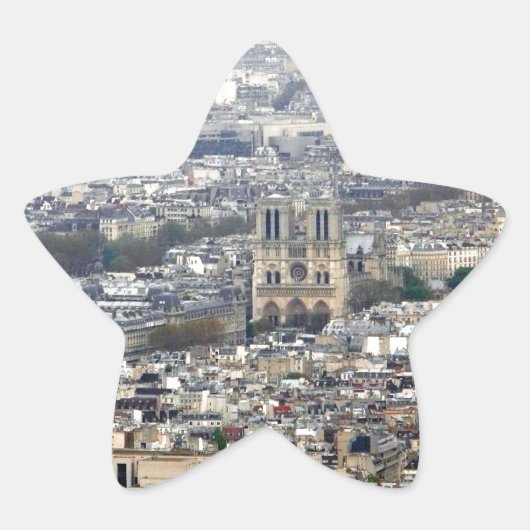Notre Dame Paris Frankrijk Ster Sticker (Voorkant)