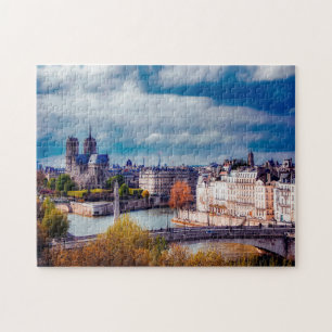 Notre Dame Paris. Legpuzzel