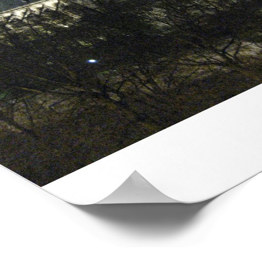 Notre Dame Poster (Hoek)