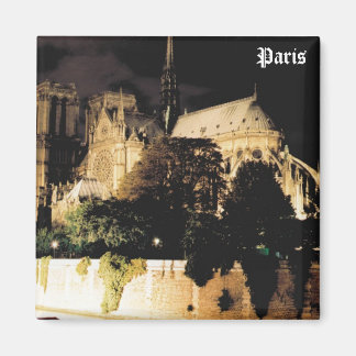 Notre Dame 's nachts. Parijs, Frankrijk. Magneet