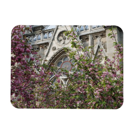 Notre Dame spring Magneet (Horizontaal)