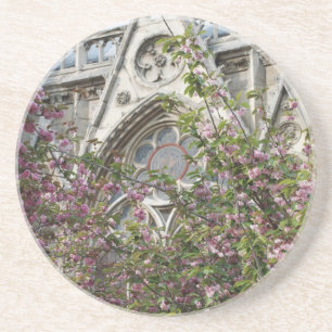 Notre Dame spring Zandsteen Onderzetter