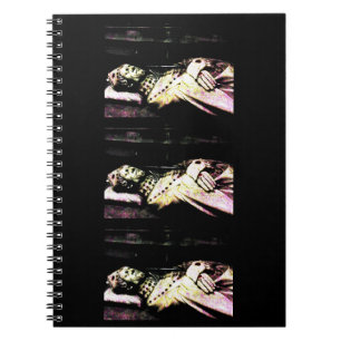 Notre Dame Statue Grunge Notitieboek