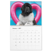 Notta Bear door het jaar Kalender (Feb 2027)